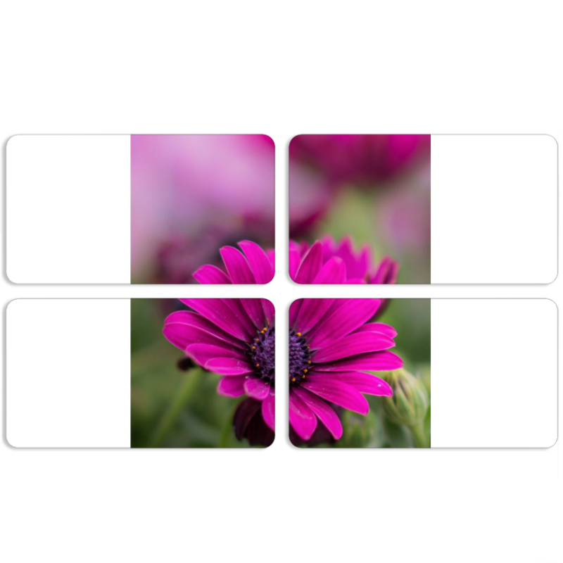 Магнитные фотопазлы 90 на 50 набор 4 штуки 