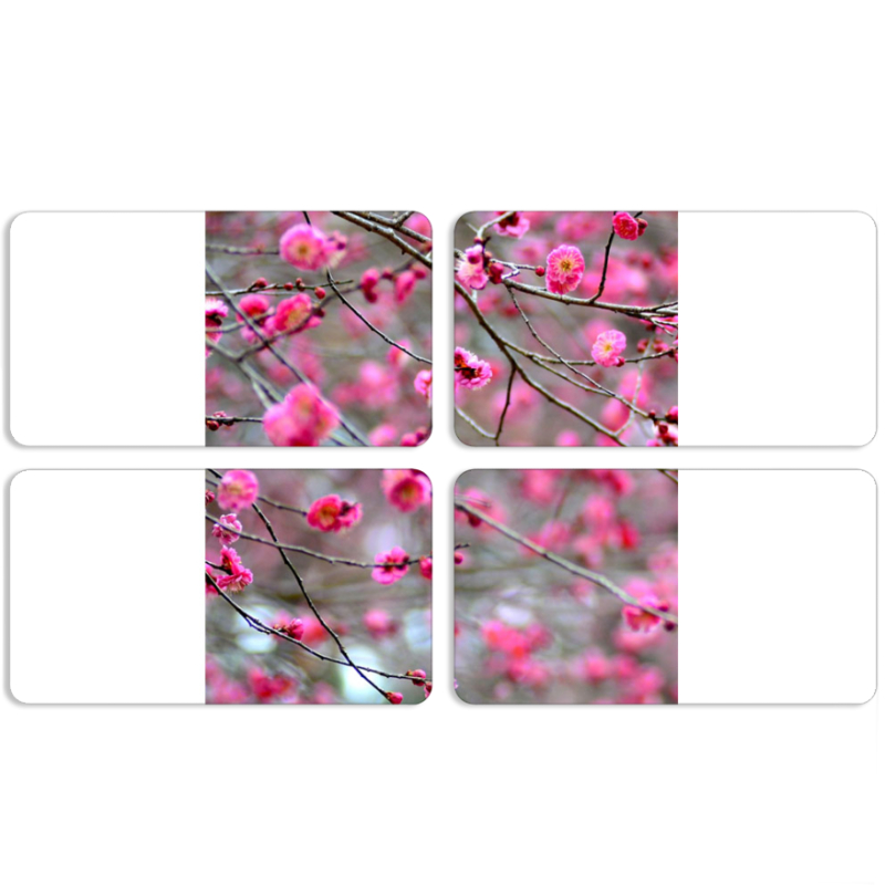 Магнитные фотопазлы 90 на 50 набор 4 штуки 