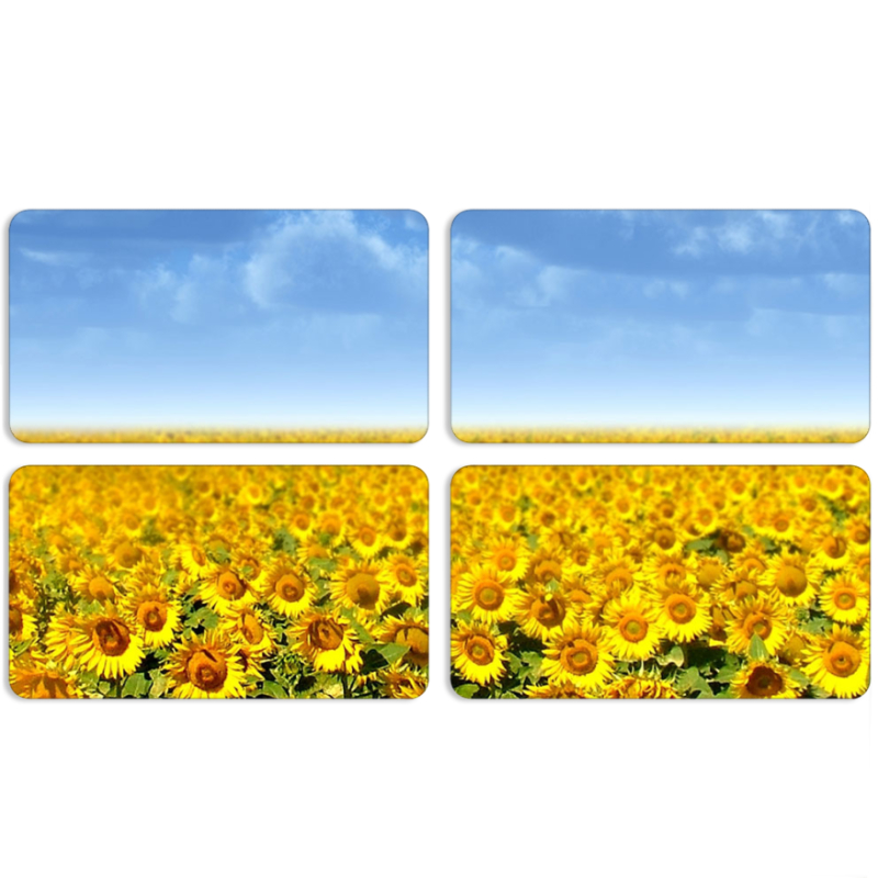 Магнитные фотопазлы 90 на 50 набор 4 штуки Подсолнухи