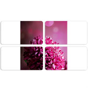 Магнитные фотопазлы 90 на 50 набор 4 штуки 