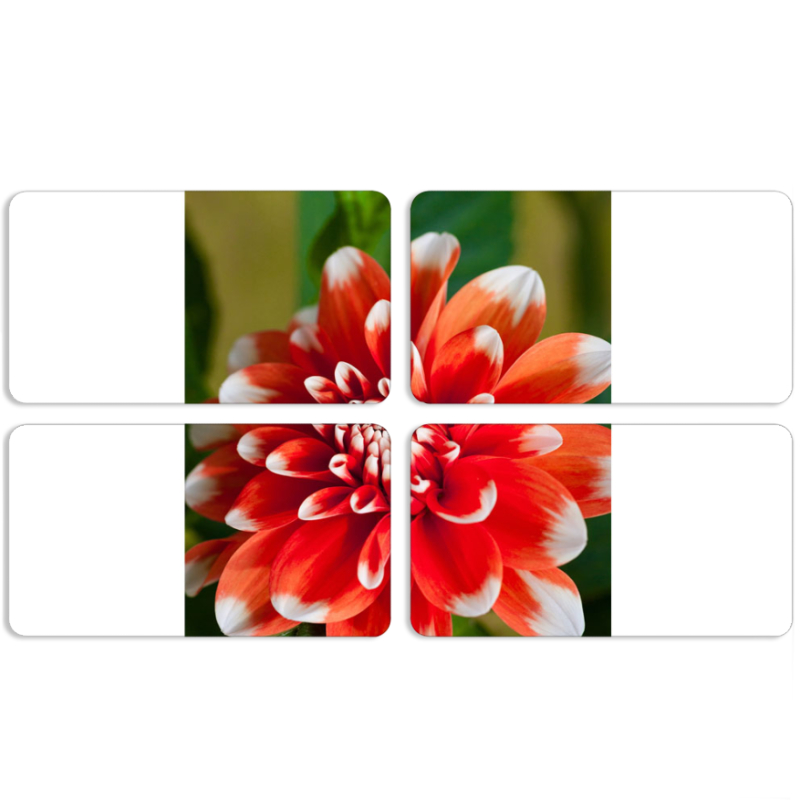 Магнитные фотопазлы 90 на 50 набор 4 штуки 