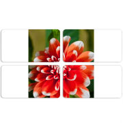 Магнитные фотопазлы 90 на 50 набор 4 штуки 