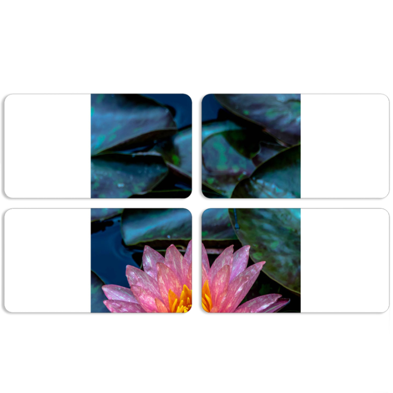 Магнитные фотопазлы 90 на 50 набор 4 штуки 