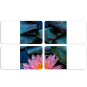 Магнитные фотопазлы 90 на 50 набор 4 штуки 