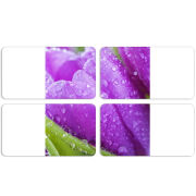 Магнитные фотопазлы 90 на 50 набор 4 штуки 