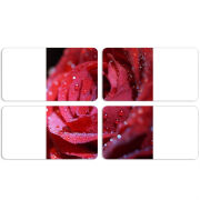 Магнитные фотопазлы 90 на 50 набор 4 штуки 