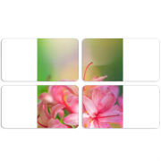 Магнитные фотопазлы 90 на 50 набор 4 штуки 