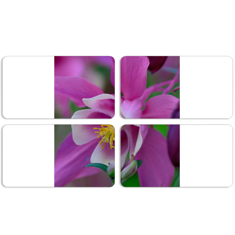 Магнитные фотопазлы 90 на 50 набор 4 штуки 