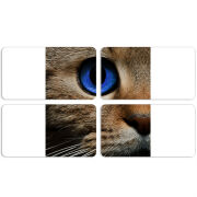 Магнитные фотопазлы 90 на 50 набор 4 штуки Cat's Eye