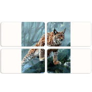 Магнитные фотопазлы 90 на 50 набор 4 штуки 