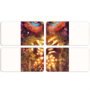 Магнитные фотопазлы 90 на 50 набор 4 штуки 