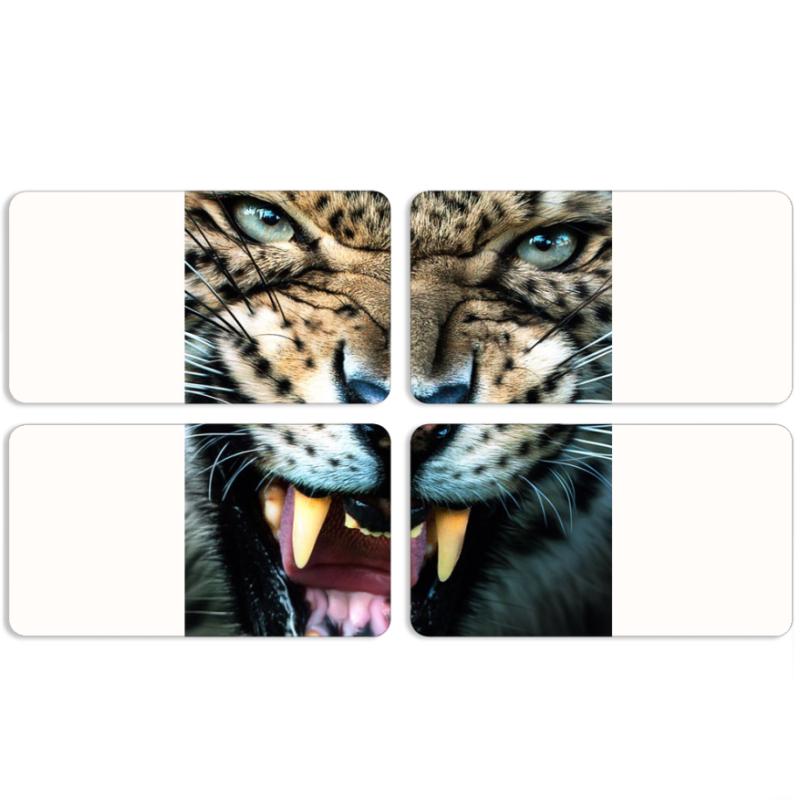 Магнитные фотопазлы 90 на 50 набор 4 штуки 