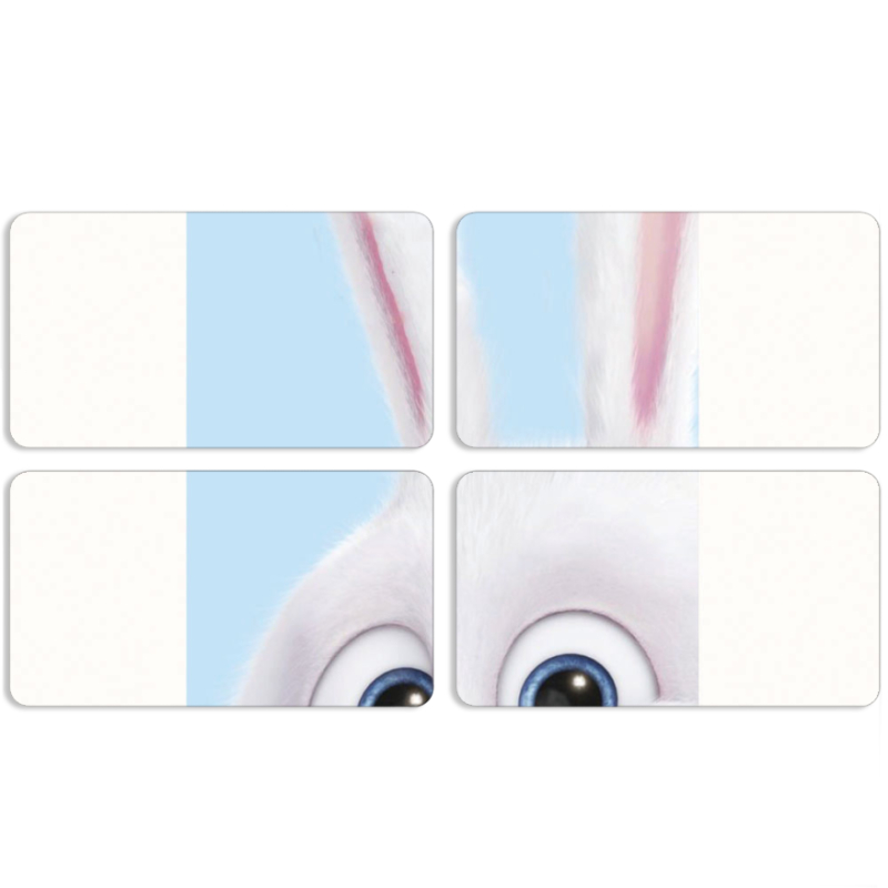 Магнитные фотопазлы 90 на 50 набор 4 штуки Rabbit