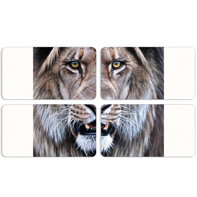 Магнитные фотопазлы 90 на 50 набор 4 штуки 