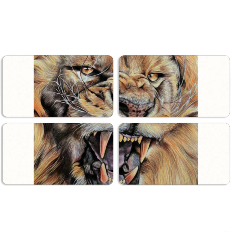 Магнитные фотопазлы 90 на 50 набор 4 штуки 