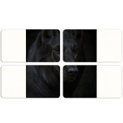 Магнитные фотопазлы 90 на 50 набор 4 штуки 