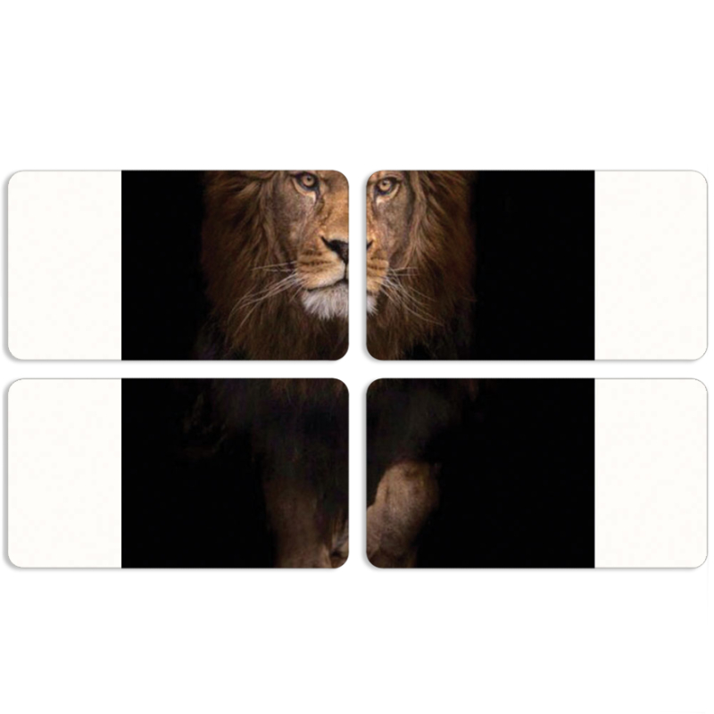 Магнитные фотопазлы 90 на 50 набор 4 штуки 