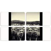 Магнитные фотопазлы 90 на 50 набор 4 штуки 