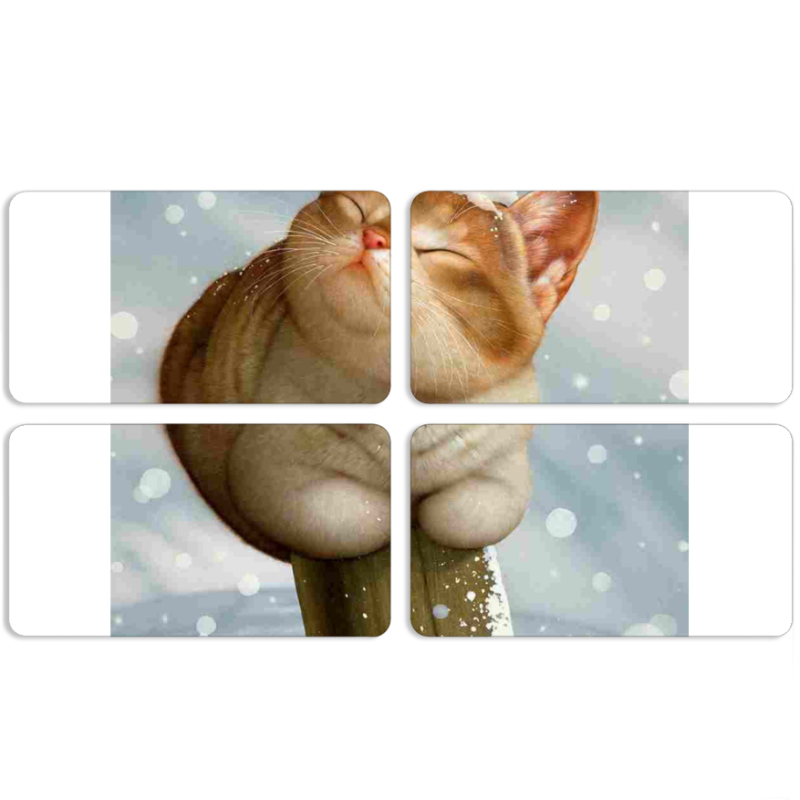 Магнитные фотопазлы 90 на 50 набор 4 штуки 