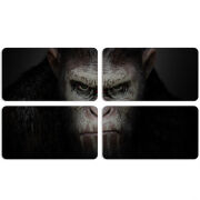 Магнитные фотопазлы 90 на 50 набор 4 штуки 