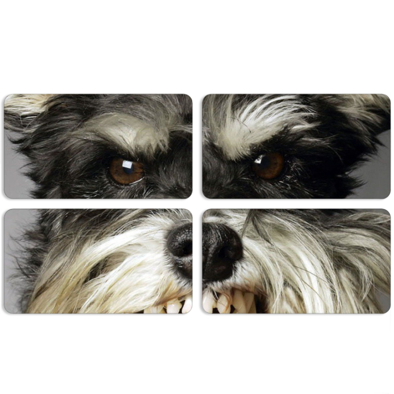 Магнитные фотопазлы 90 на 50 набор 4 штуки Cursor