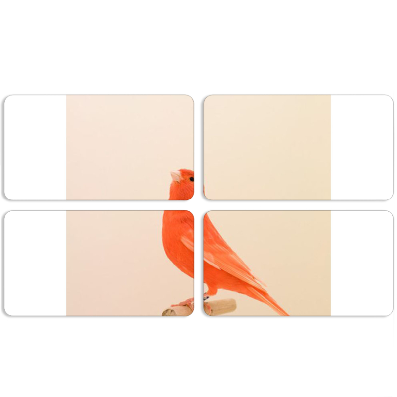 Магнитные фотопазлы 90 на 50 набор 4 штуки 