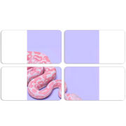 Магнитные фотопазлы 90 на 50 набор 4 штуки 