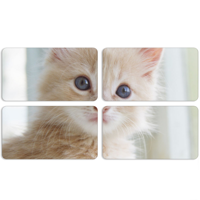 Магнитные фотопазлы 90 на 50 набор 4 штуки Animation Kittens