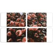 Магнитные фотопазлы 90 на 50 набор 4 штуки 