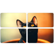 Магнитные фотопазлы 90 на 50 набор 4 штуки 