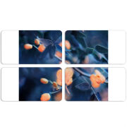 Магнитные фотопазлы 90 на 50 набор 4 штуки 