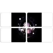 Магнитные фотопазлы 90 на 50 набор 4 штуки 