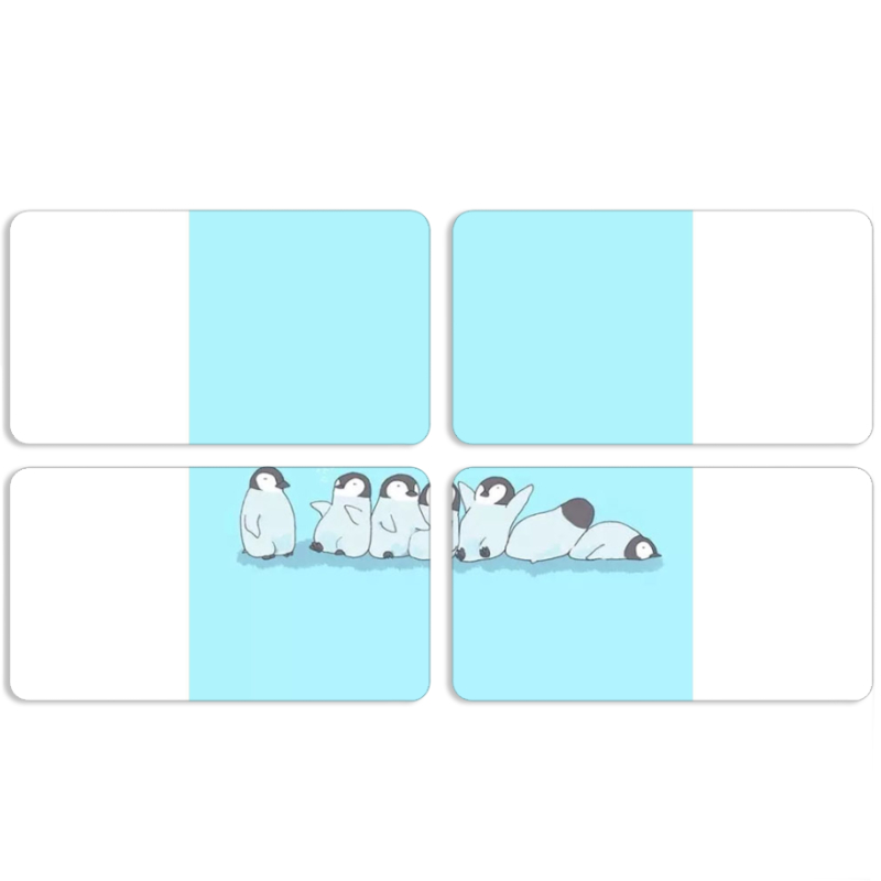 Магнитные фотопазлы 90 на 50 набор 4 штуки 