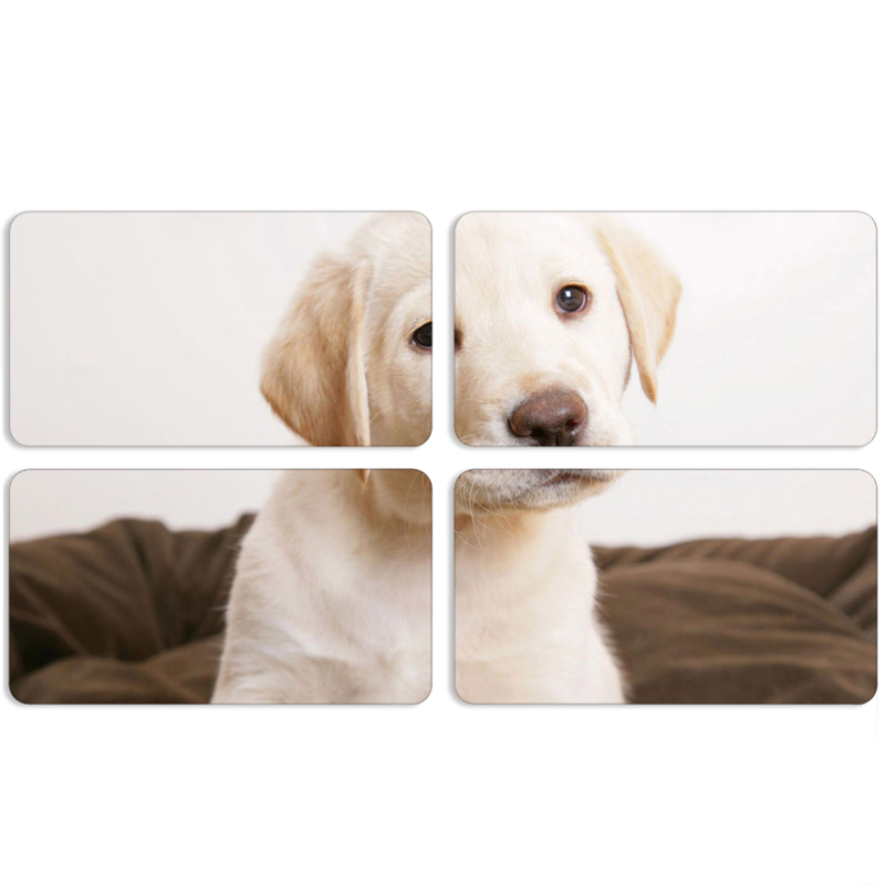 Магнитные фотопазлы 90 на 50 набор 4 штуки Puppy Labrador