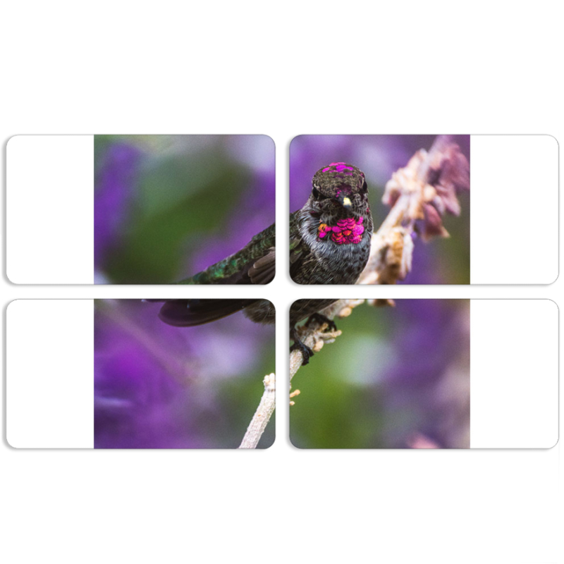 Магнитные фотопазлы 90 на 50 набор 4 штуки 