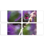 Магнитные фотопазлы 90 на 50 набор 4 штуки 