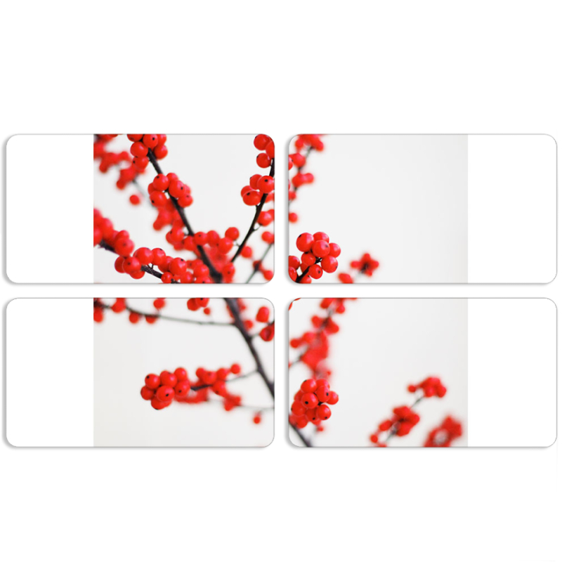 Магнитные фотопазлы 90 на 50 набор 4 штуки 