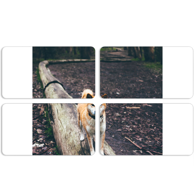 Магнитные фотопазлы 90 на 50 набор 4 штуки 