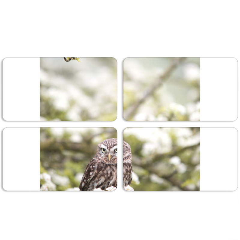 Магнитные фотопазлы 90 на 50 набор 4 штуки 