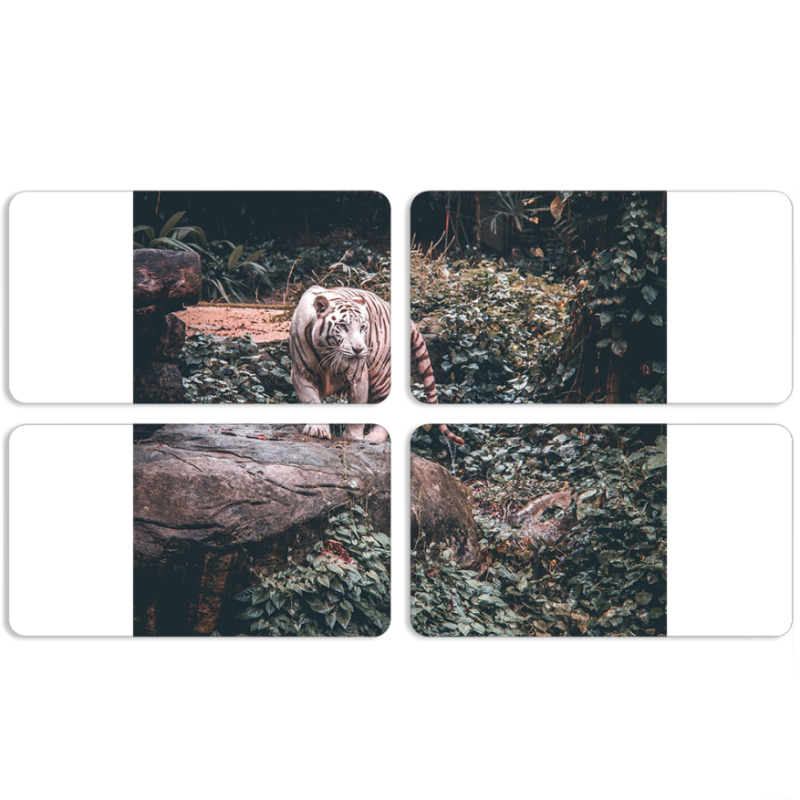 Магнитные фотопазлы 90 на 50 набор 4 штуки 