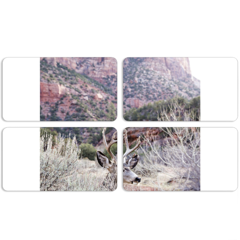 Магнитные фотопазлы 90 на 50 набор 4 штуки 