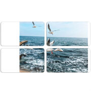 Магнитные фотопазлы 90 на 50 набор 4 штуки 