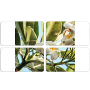 Магнитные фотопазлы 90 на 50 набор 4 штуки 