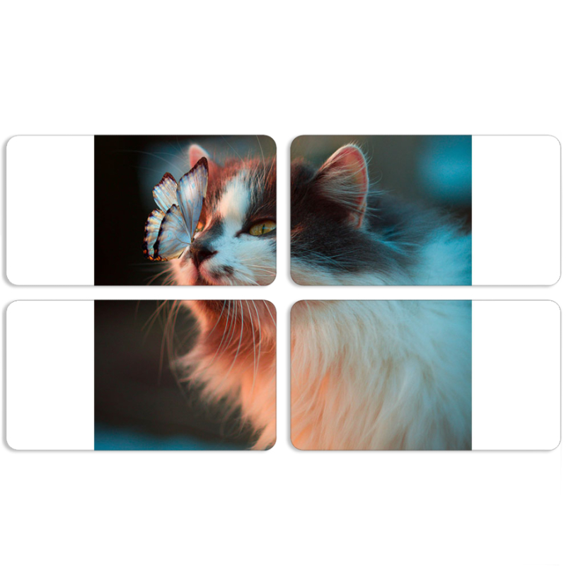 Магнитные фотопазлы 90 на 50 набор 4 штуки 