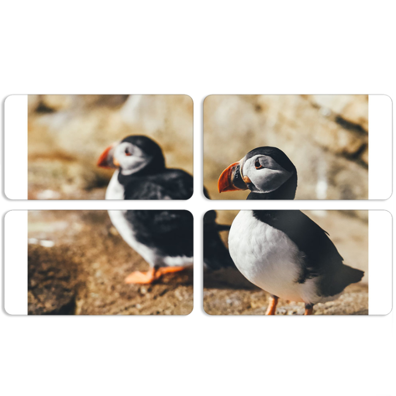 Магнитные фотопазлы 90 на 50 набор 4 штуки 