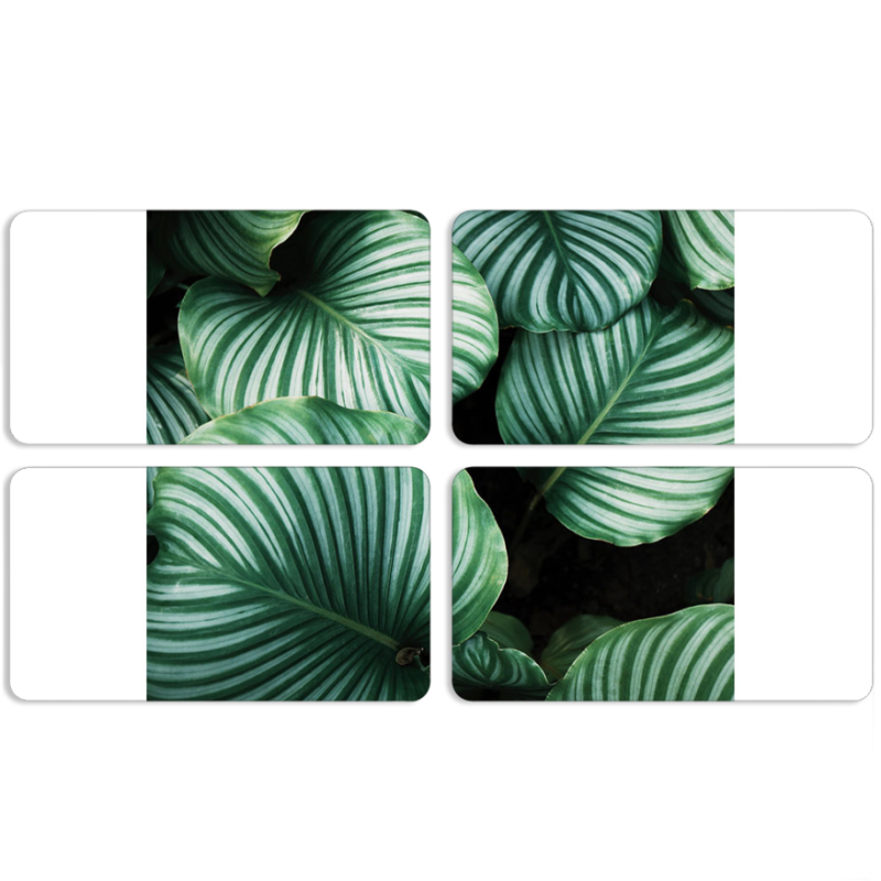 Магнитные фотопазлы 90 на 50 набор 4 штуки 