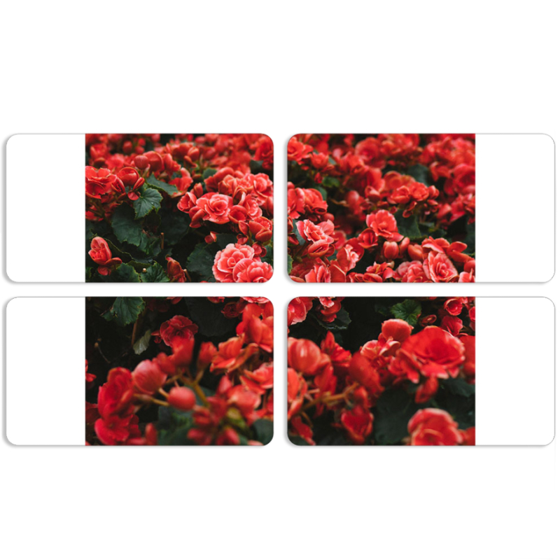 Магнитные фотопазлы 90 на 50 набор 4 штуки 