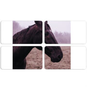 Магнитные фотопазлы 90 на 50 набор 4 штуки 