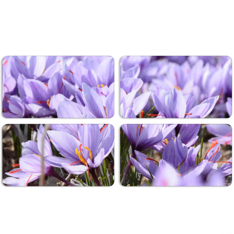 Магнитные фотопазлы 90 на 50 набор 4 штуки 