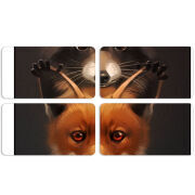 Магнитные фотопазлы 90 на 50 набор 4 штуки 